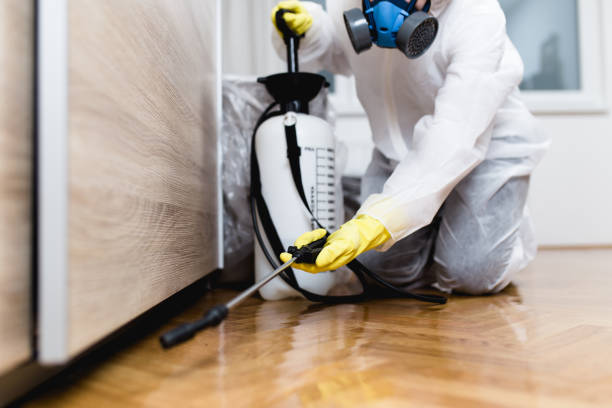 Trusted Fairmont, IL Pest Control Experts