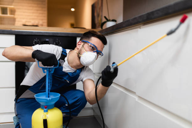 Best Pest Control Near Me in Fairmont, IL
