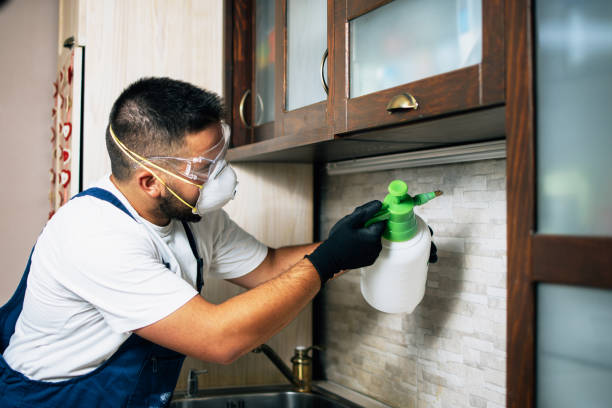 Best Cockroach Control Services  in Fairmont, IL
