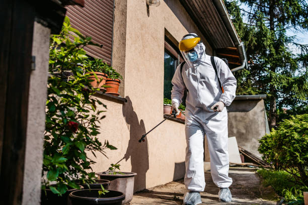 Best Emergency Pest Control  in Fairmont, IL