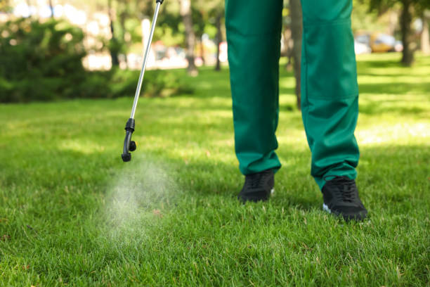 Best Flea Control Services  in Fairmont, IL