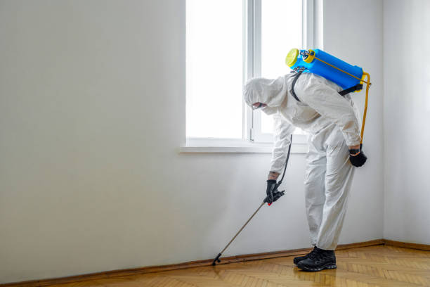 Best Commercial Pest Control Services  in Fairmont, IL