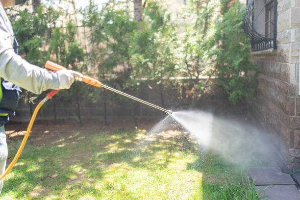 Best Bird Control  in Fairmont, IL