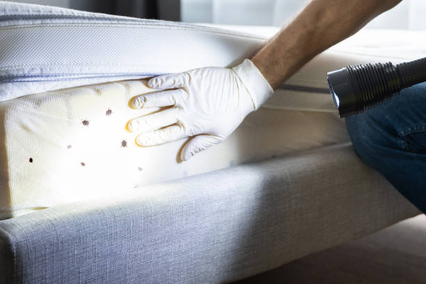 Best Best Pest Control Companies  in Fairmont, IL
