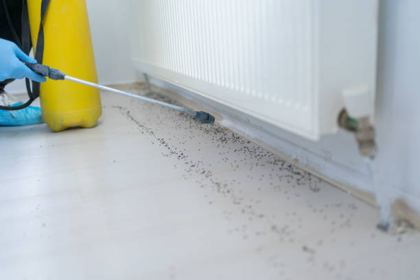 Best Local Pest Control Services  in Fairmont, IL