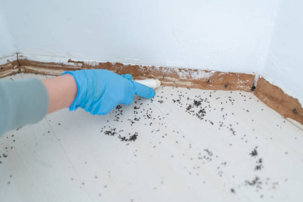 Best Pest Inspection Near Me  in Fairmont, IL