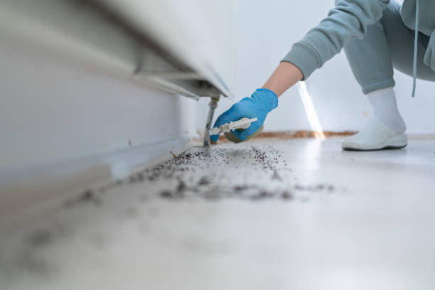 Best Best Pest Control Companies  in Fairmont, IL
