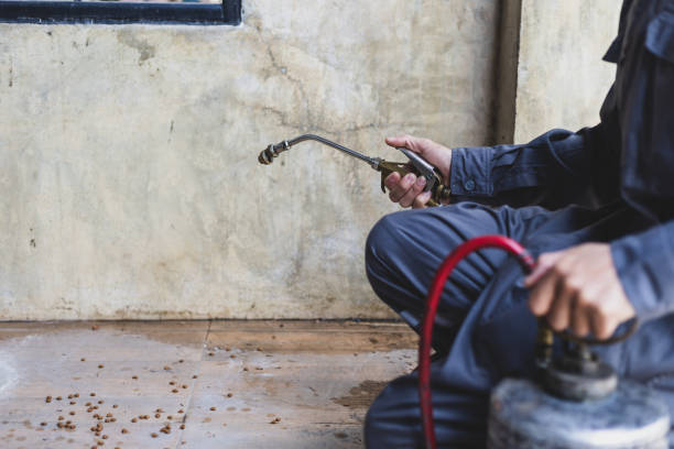 Best Termite Control Services  in Fairmont, IL